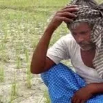 Haveri farmer Dies After Consuming Poison As Crop Fails, Debts Mount